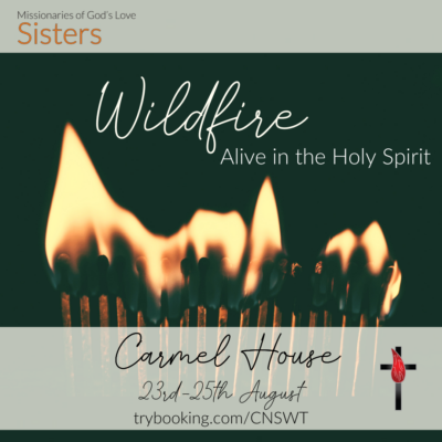 Wildfire: Alive in the Holy Spirit